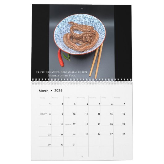 2024 Morelia Pythonラジオカレンダー カレンダー (3月 2026)