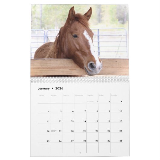 2024 Mustang Mission's Wild Horses – カレンダー (1月 2026)