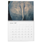 2025お尻カレンダー カレンダー (1月 2027)