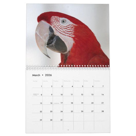 2025オウム暦 カレンダー (3月 2026)