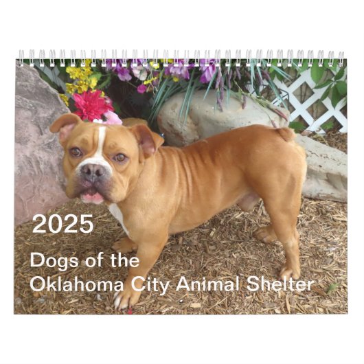 2025オクラホマシティー動物シェルターの犬 カレンダー (カバー)