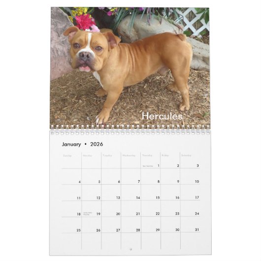 2025オクラホマシティー動物シェルターの犬 カレンダー (1月 2026)