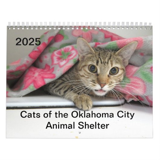 2025オクラホマシティー動物シェルターの猫 カレンダー (カバー)