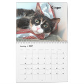 2025オクラホマシティー動物シェルターの猫 カレンダー (1月 2027)