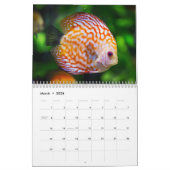 2025カラフル魚 カレンダー (3月 2026)