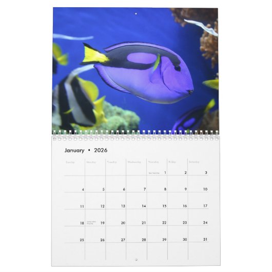 2025カラフル魚 カレンダー (1月 2026)