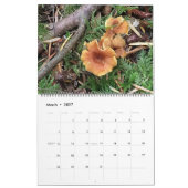 2025カレンダー カレンダー (3月 2027)