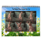 2025カレンダー カレンダー (カバー)