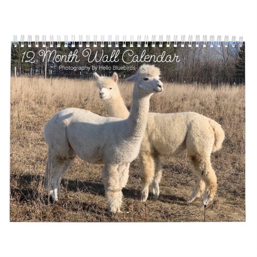 2025カレンダー – Hello Bluebirds Farm Photos カレンダー (カバー)