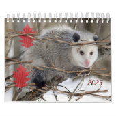 2025カレンダーOpossum自然野生動物 カレンダー (カバー)