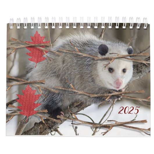 2025カレンダーOpossum自然野生動物 カレンダー (裏面)