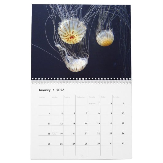 2025クラゲ暦 カレンダー (1月 2026)