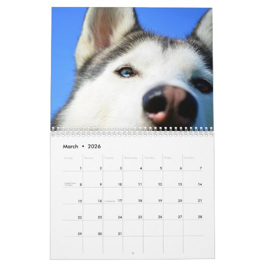 2025ゴージャスなシベリアのハスキー犬カレンダー カレンダー (3月 2026)