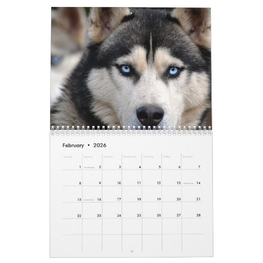 2025ゴージャスなシベリアのハスキー犬カレンダー カレンダー (2月 2026)
