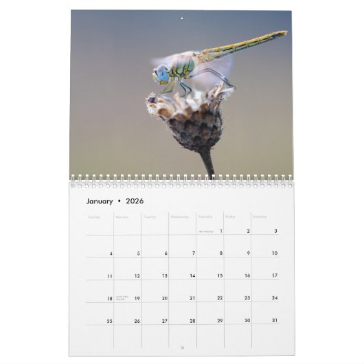 2025トンボ カレンダー (1月 2026)