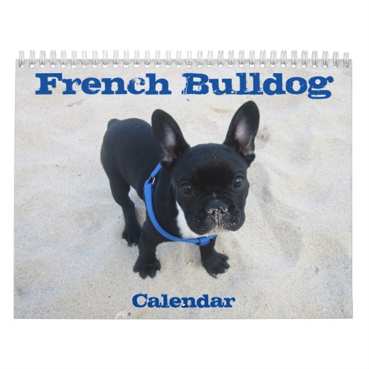 2025フランスの年のBulldogカレンダー変更 カレンダー (カバー)