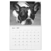 2025フランスの年のBulldogカレンダー変更 カレンダー (3月 2027)