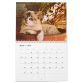 2025ベンガル猫 カレンダー (3月 2026)