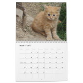 2025ラブリーオレンジ色の猫 カレンダー (3月 2027)
