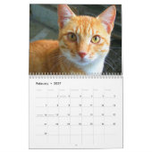 2025ラブリーオレンジ色の猫 カレンダー (2月 2027)