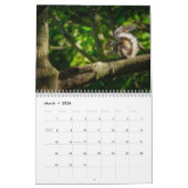 2025リスのカレンダー カレンダー (3月 2026)