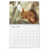 2025リスのカレンダー カレンダー (1月 2026)