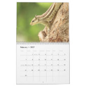 2025リスのカレンダー カレンダー (2月 2027)