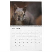 2025リス カレンダー (3月 2026)