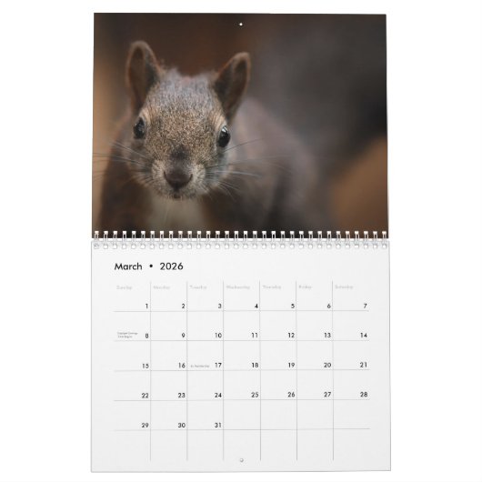 2025リス カレンダー (3月 2026)