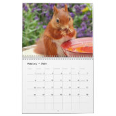 2025リス カレンダー (2月 2026)