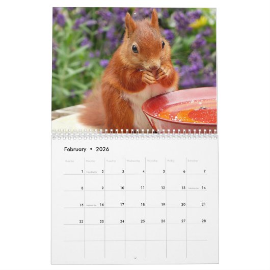 2025リス カレンダー (2月 2026)