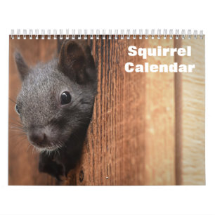 2025リス カレンダー