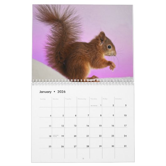 2025リス カレンダー (1月 2026)