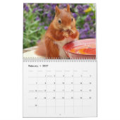 2025リス カレンダー (2月 2027)