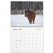 2025写真ウマ科のカレンダー カレンダー (2月 2027)