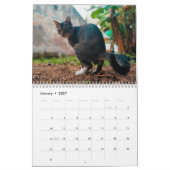 2025年おもしろい猫用カレンパーソナライズされたダー カレンダー (1月 2027)