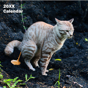2025年おもしろい猫用カレンパーソナライズされたダー カレンダー