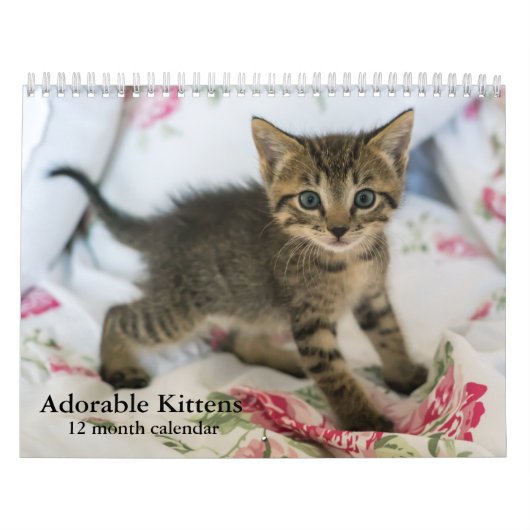 2025年かわいい子猫たち12ヶ月 カレンダー (カバー)