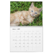 2025年かわいい子猫たち12ヶ月 カレンダー (3月 2027)