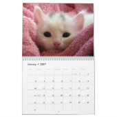 2025年かわいい子猫たち12ヶ月 カレンダー (1月 2027)