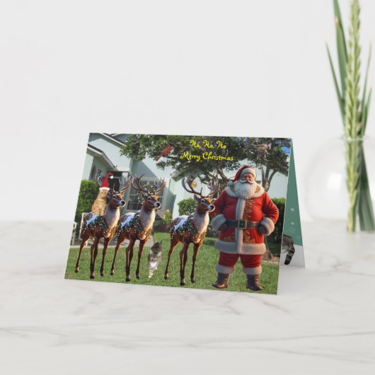 2025年のティトーの夢 – 白いクリスマス シーズンカード (正面)