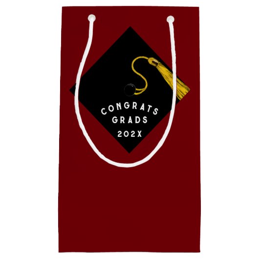 2025年の卒業クラスおめでとう小抱き枕 スモールペーパーバッグ (正面)