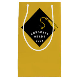 2025年の卒業クラスおめでとう小抱き枕 スモールペーパーバッグ