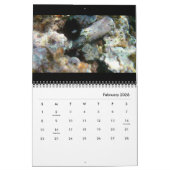 2025年の古代ウォーターズフォトエディション：遺跡&工芸品 カレンダー (2月 2026)