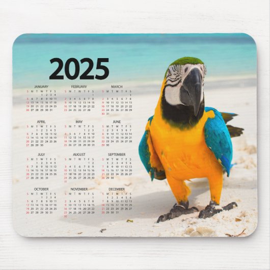 2025年カラフルカレンダーのオウム マウスパッド (正面)