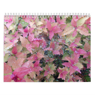 2025年カレンダーと自然写真 カレンダー