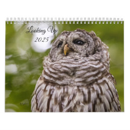 2025年カレンダーの検索 カレンダー