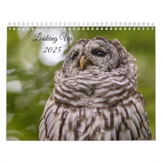 2025年カレンダーの検索 カレンダー