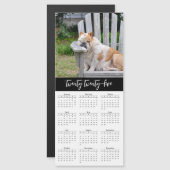 2025年カレンダー写真クラシック撮影フルイヤーファミリーペット (正面/裏面)