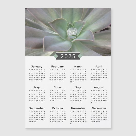 2025年カレンダー多肉写真磁石 (正面)